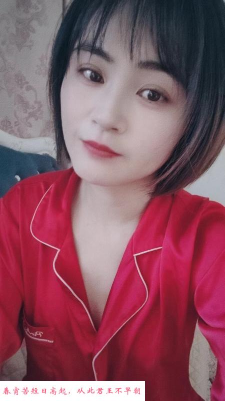 鼓楼含羞草 第1张