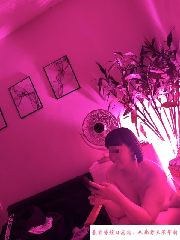 双井大灯 第1张